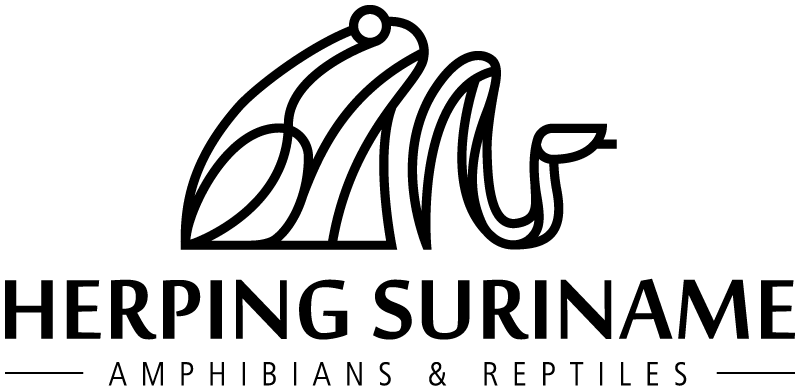 Herping Suriname